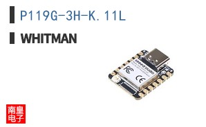 P119G-3H-K.11L ͼƬ